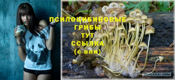 ALPHA PVP Покров
