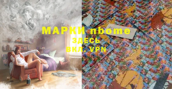 индика Алексеевка