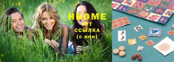 индика Алексеевка