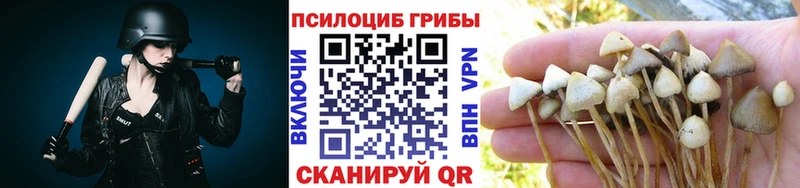 Псилоцибиновые грибы прущие грибы купить сайты Нижнеудинск